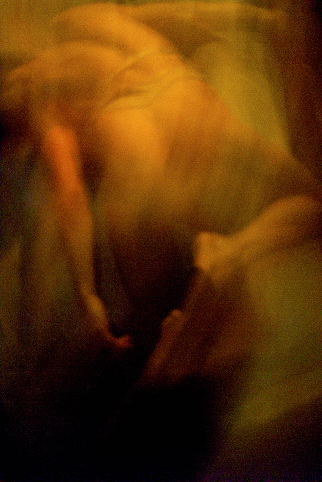 Violare